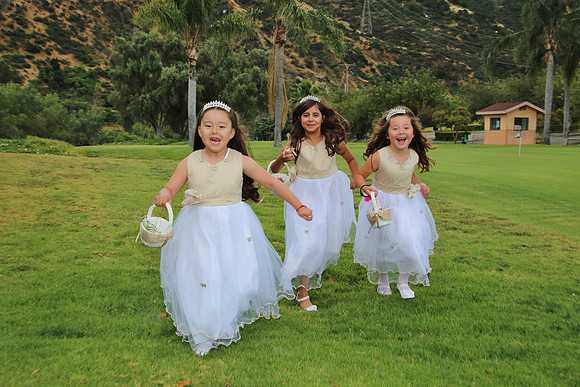 Wedding Photography